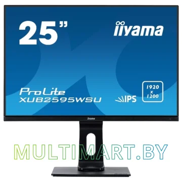 Монитор Iiyama ProLite XUB2595WSU-B1